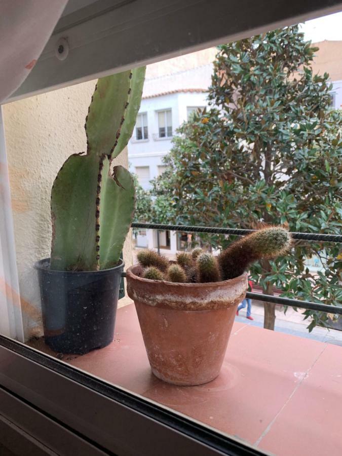 Apartamento Cambrilsfornia 아파트 외부 사진